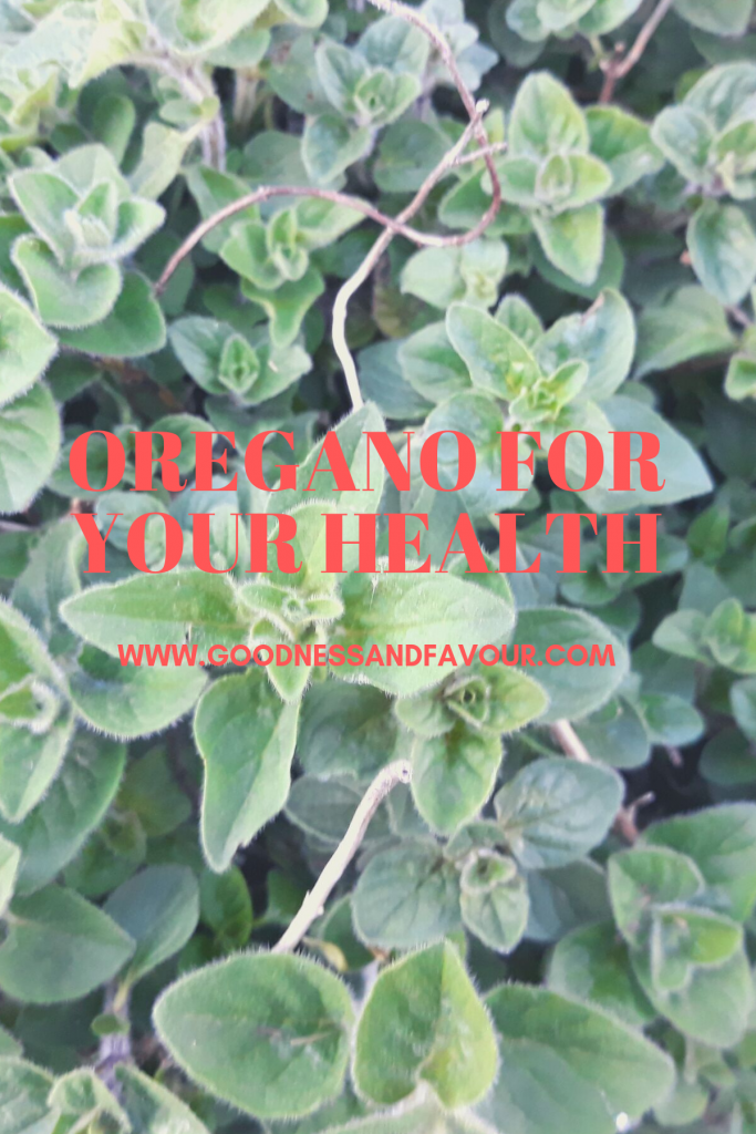 Oregano and Marjoram How to Use Them and Health Benefits Goodness