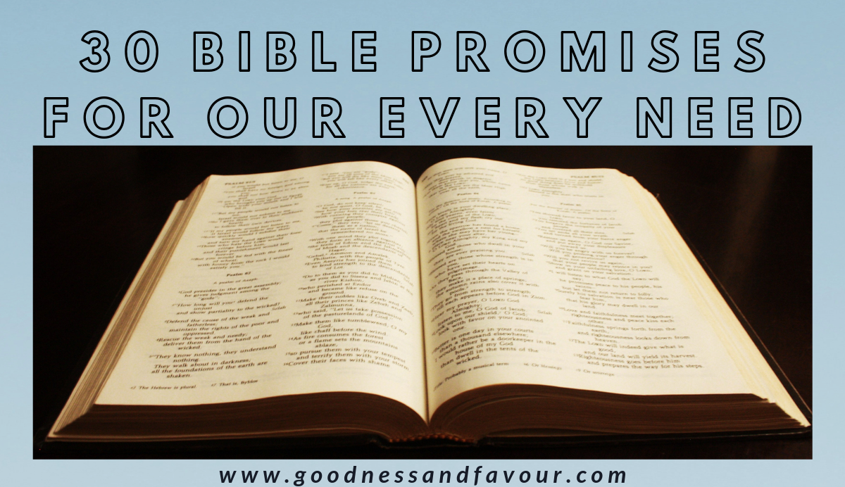 30 Bible Promises for our every need